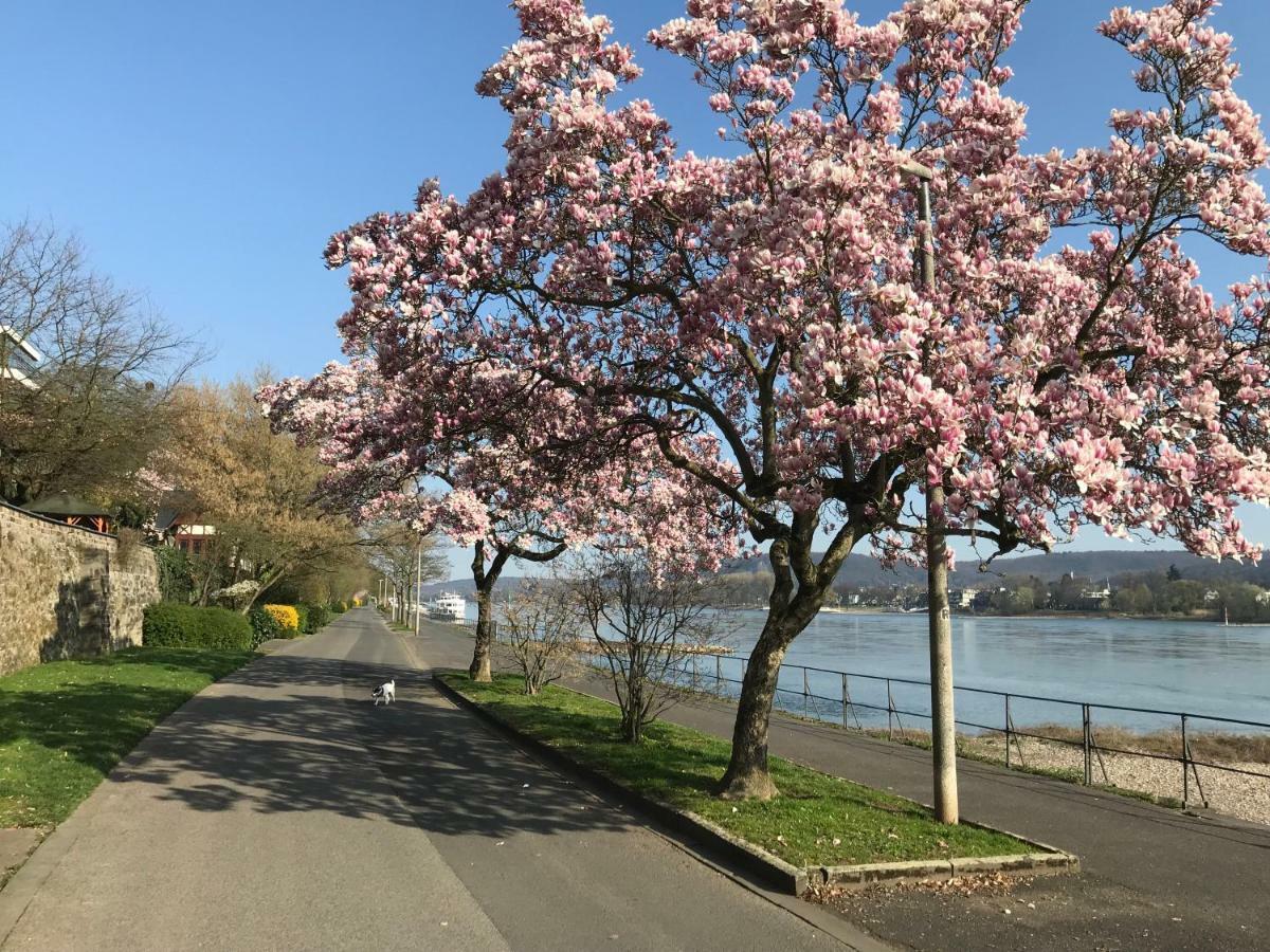 Ferienhaus Rheinperle Mit Garten In Remagen Am Rhein - Naehe Bonn Βίλα Εξωτερικό φωτογραφία